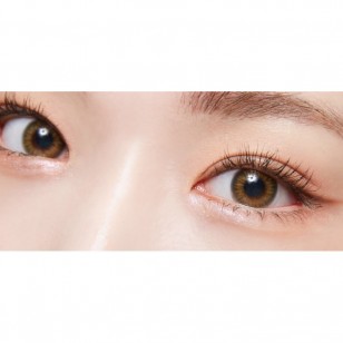 Lighly Pastel Brown(日拋)